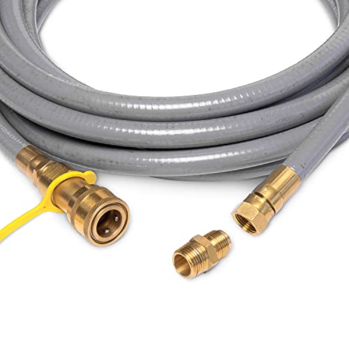 Champion Power Equipment 100416 10,000/8,000-Watt TRI Fuel Portable Natural Gas Generator, NG/LPG Hose Kits and CO Shield