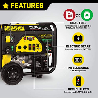 Champion 8000-Watt Dual Fuel Portable Generator with Electric Start
