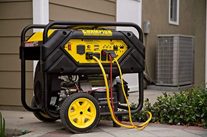 Champion Power Equipment 100111 15,000/12,000-Watt Portable Generator with Electric Start and Lift Hook